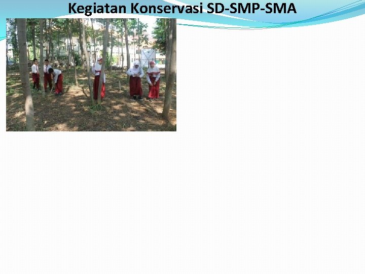 Kegiatan Konservasi SD-SMP-SMA 