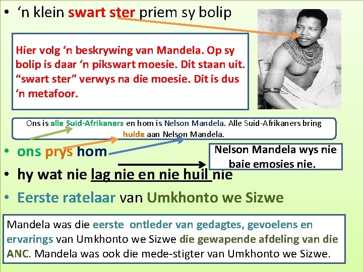  • ‘n klein swart ster priem sy bolip Hier volg ‘n beskrywing van