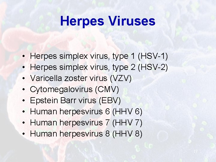 Herpes Viruses • • Herpes simplex virus, type 1 (HSV-1) Herpes simplex virus, type