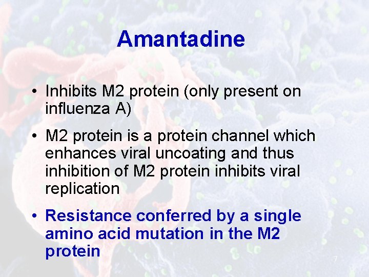 Amantadine • Inhibits M 2 protein (only present on influenza A) • M 2