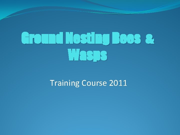 Ground Nesting Bees & Wasps Training Course 2011 