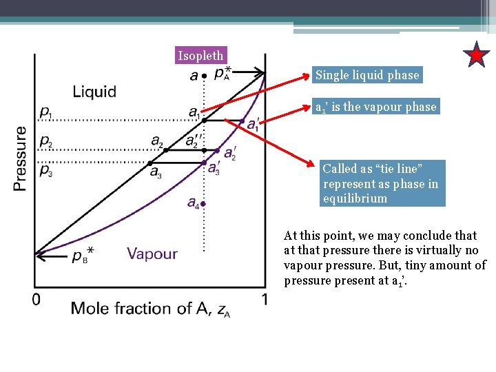 Isopleth Single liquid phase a 1’ is the vapour phase Called as “tie line”