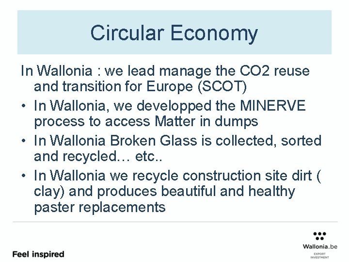 Circular Economy In Wallonia : we lead manage the CO 2 reuse and transition