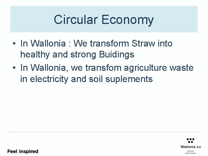 Circular Economy • In Wallonia : We transform Straw into healthy and strong Buidings