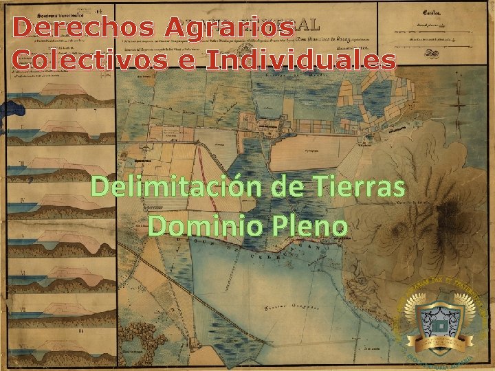 Derechos Agrarios Colectivos e Individuales Delimitación de Tierras Dominio Pleno 