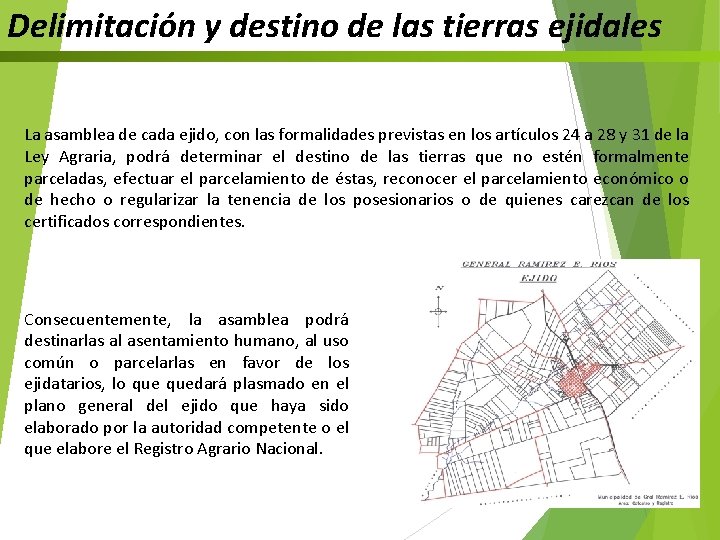 Delimitación y destino de las tierras ejidales La asamblea de cada ejido, con las