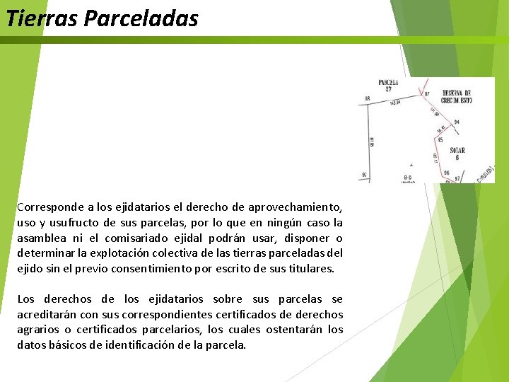 Tierras Parceladas Corresponde a los ejidatarios el derecho de aprovechamiento, uso y usufructo de