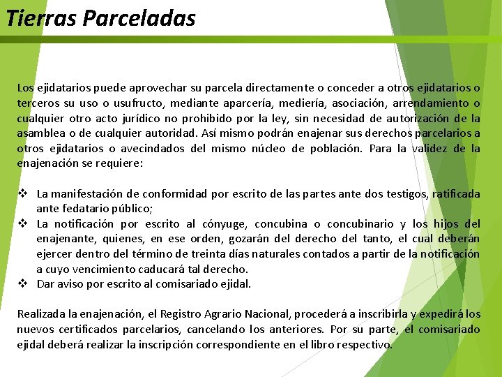 Tierras Parceladas Los ejidatarios puede aprovechar su parcela directamente o conceder a otros ejidatarios