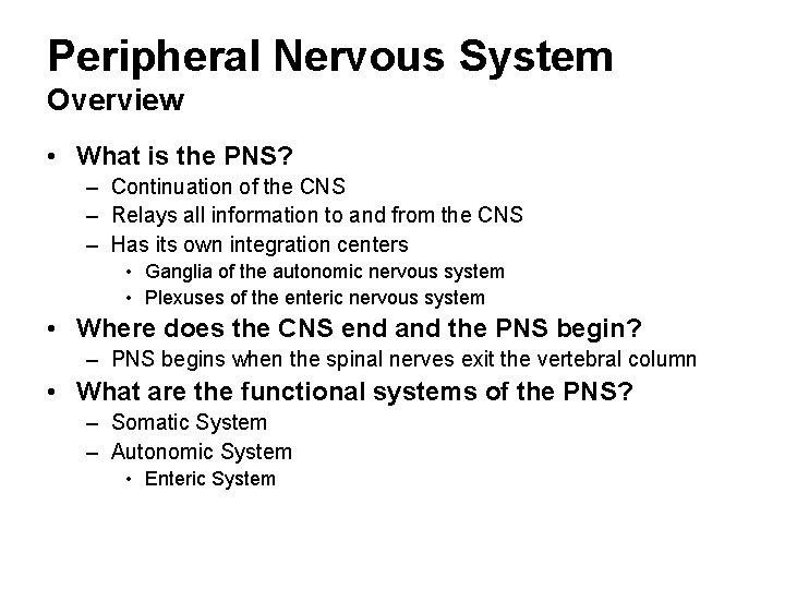 Peripheral Nervous System Overview • What is the PNS? – Continuation of the CNS