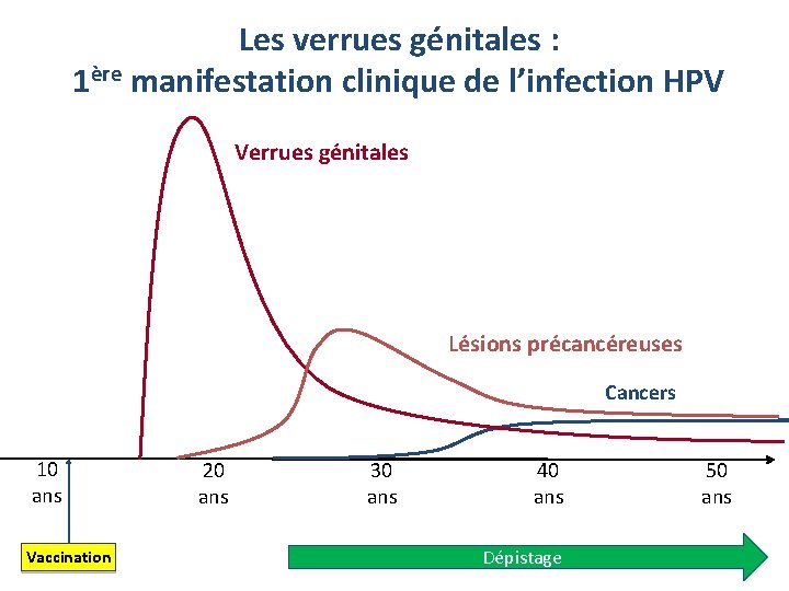 Les verrues génitales : 1ère manifestation clinique de l’infection HPV Verrues génitales Lésions précancéreuses