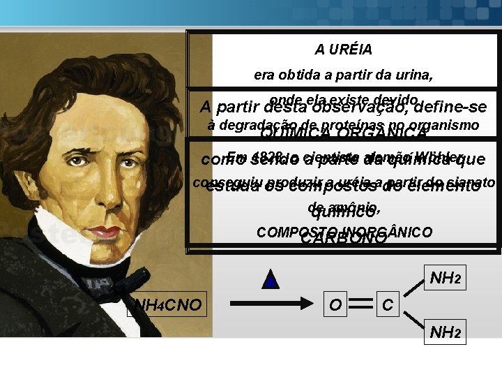 A URÉIA era obtida a partir da urina, onde ela existe devido A partir