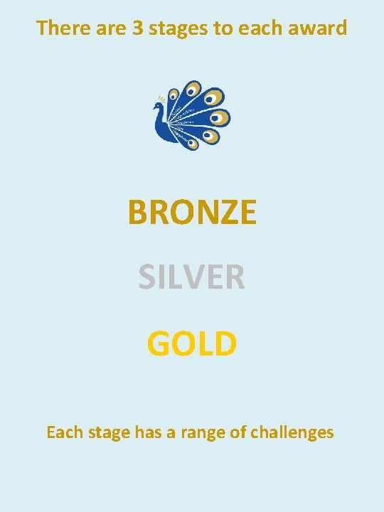 There are 3 stages to each award BRONZE SILVER GOLD Each stage has a There are 3 stages to each award BRONZE SILVER GOLD Each stage has a