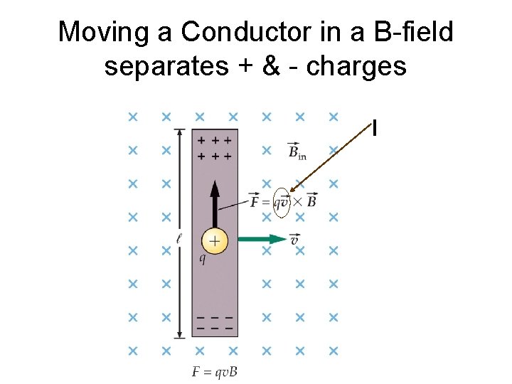 Moving a Conductor in a B-field separates + & - charges I 