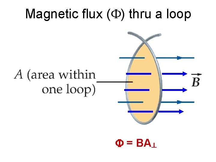 Magnetic flux (F) thru a loop F = BA┴ 