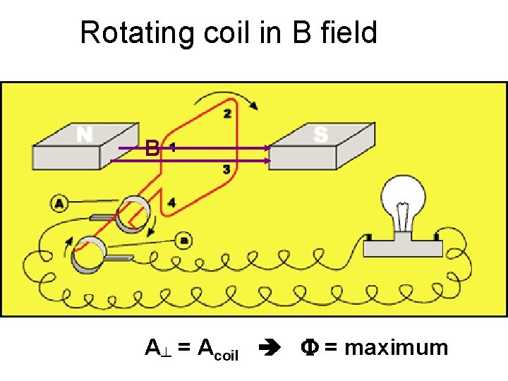 Rotating coil in B field B A┴ = Acoil F = maximum 