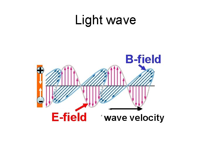 Light wave B-field + E-field wave velocity 
