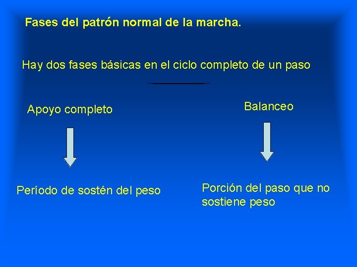 Fases del patrón normal de la marcha. Hay dos fases básicas en el ciclo