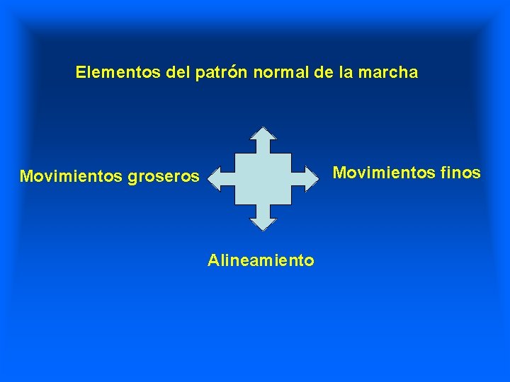 Elementos del patrón normal de la marcha Movimientos finos Movimientos groseros Alineamiento 