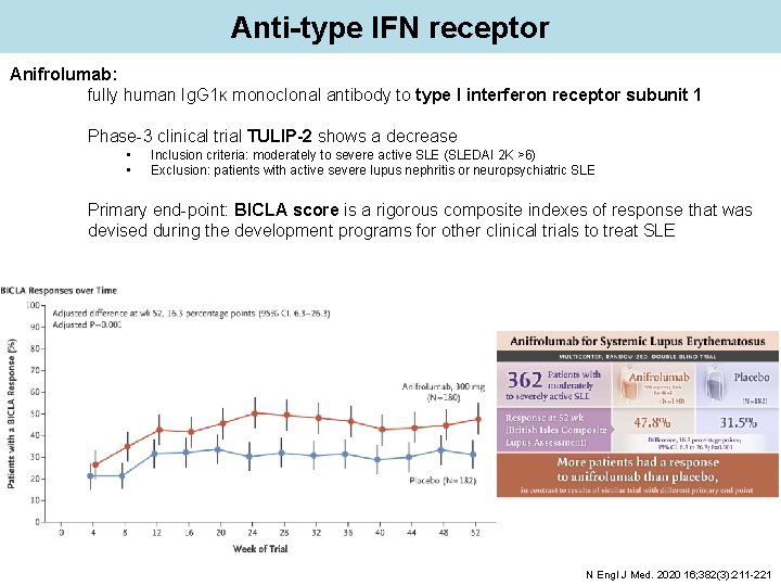 Anti-type IFN receptor Anifrolumab: fully human Ig. G 1κ monoclonal antibody to type I