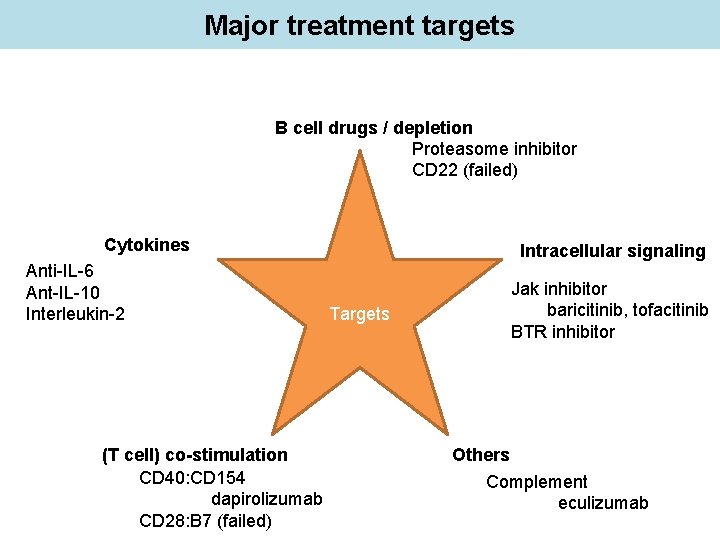 Major treatment targets B cell drugs / depletion Proteasome inhibitor CD 22 (failed) Cytokines