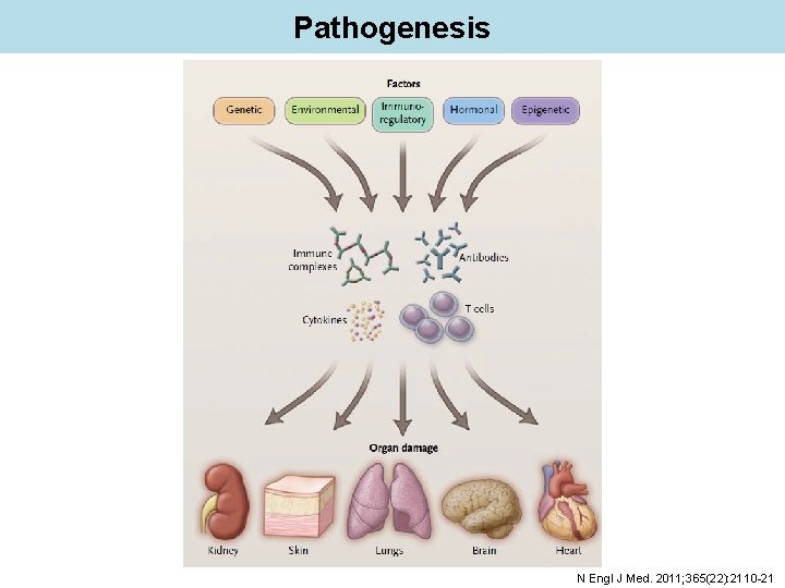 Pathogenesis N Engl J Med. 2011; 365(22): 2110 -21 