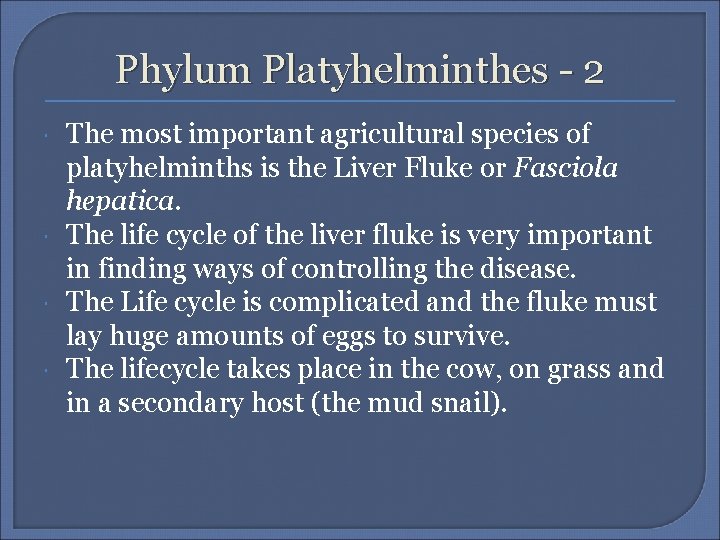 Phylum Platyhelminthes - 2 The most important agricultural species of platyhelminths is the Liver