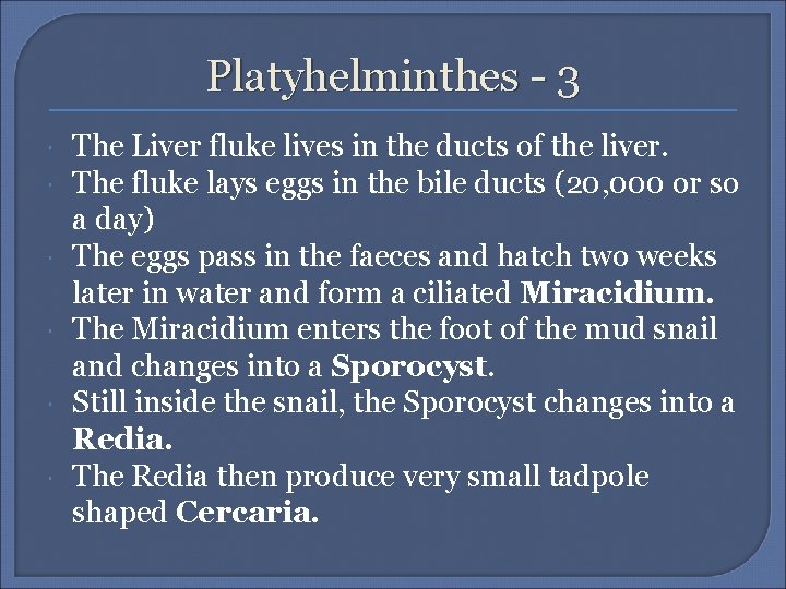 Platyhelminthes - 3 The Liver fluke lives in the ducts of the liver. The