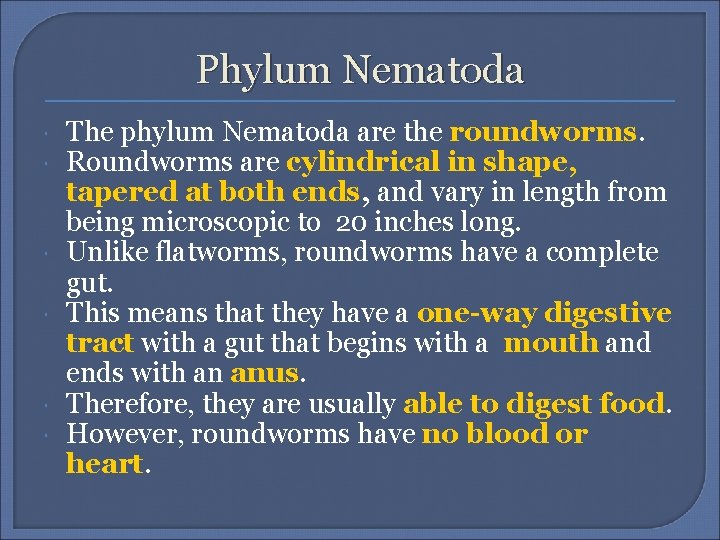 Phylum Nematoda The phylum Nematoda are the roundworms. Roundworms are cylindrical in shape, tapered