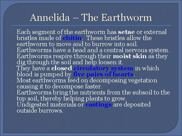 Annelida – The Earthworm Each segment of the earthworm has setae or external bristles