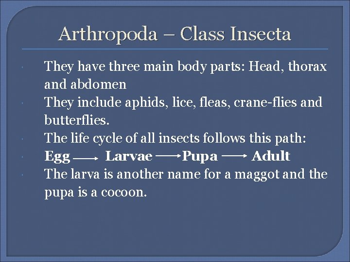 Arthropoda – Class Insecta They have three main body parts: Head, thorax and abdomen