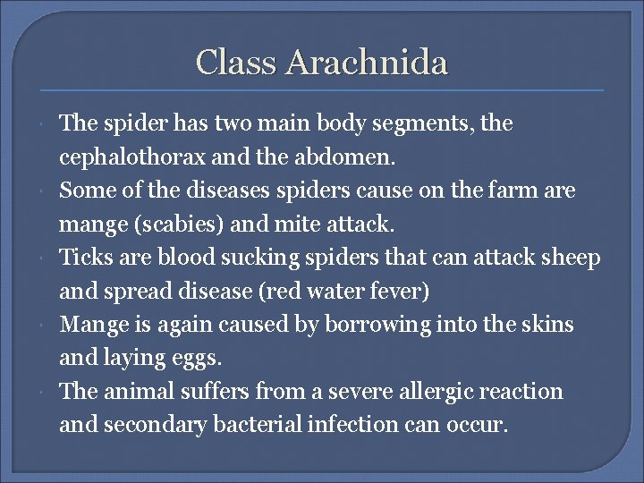 Class Arachnida The spider has two main body segments, the cephalothorax and the abdomen.