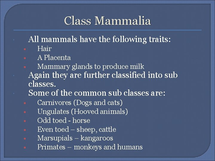 Class Mammalia All mammals have the following traits: • • • Hair A Placenta