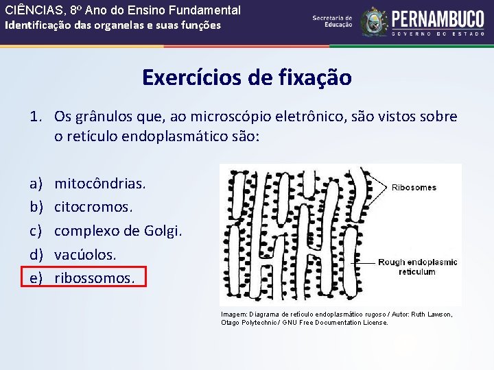 CIÊNCIAS, 8º Ano do Ensino Fundamental Identificação das organelas e suas funções Exercícios de