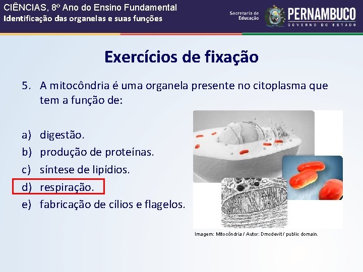 CIÊNCIAS, 8º Ano do Ensino Fundamental Identificação das organelas e suas funções Exercícios de