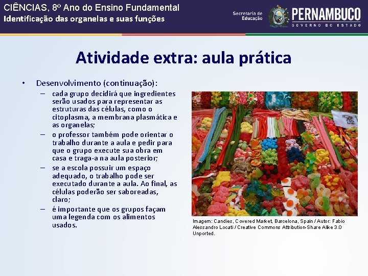 CIÊNCIAS, 8º Ano do Ensino Fundamental Identificação das organelas e suas funções Atividade extra: