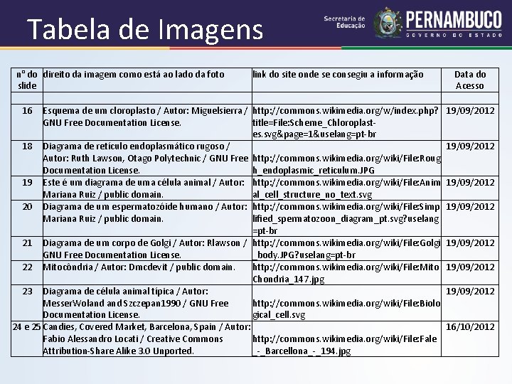 Tabela de Imagens n° do direito da imagem como está ao lado da foto