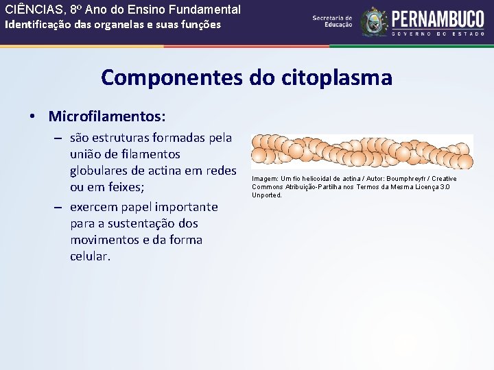 CIÊNCIAS, 8º Ano do Ensino Fundamental Identificação das organelas e suas funções Componentes do