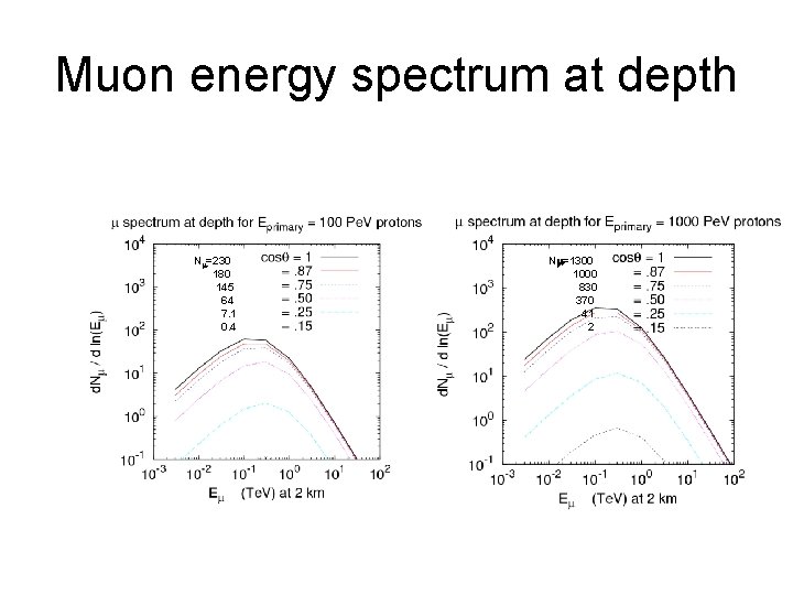 Muon energy spectrum at depth Nm=230 180 145 64 7. 1 0. 4 Nm=1300