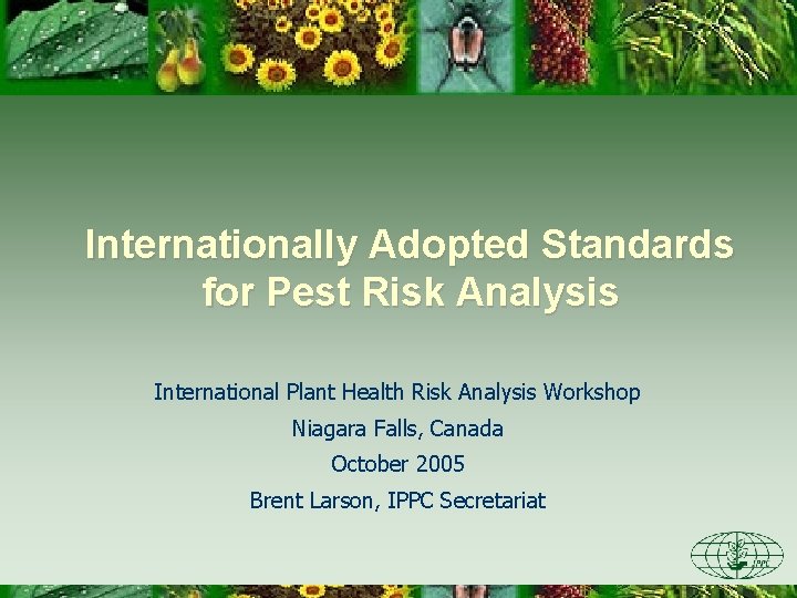 Internationally Adopted Standards for Pest Risk Analysis International Plant Health Risk Analysis Workshop Niagara