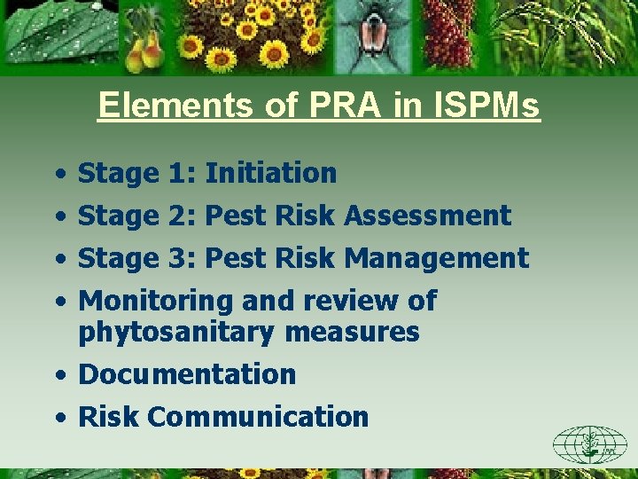 Elements of PRA in ISPMs • • Stage 1: Initiation Stage 2: Pest Risk