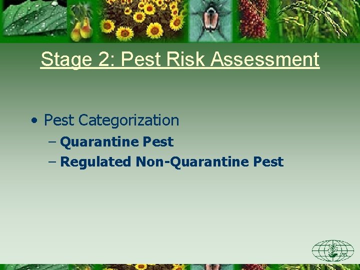 Stage 2: Pest Risk Assessment • Pest Categorization – Quarantine Pest – Regulated Non-Quarantine