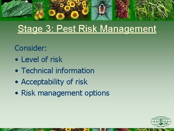 Stage 3: Pest Risk Management Consider: • Level of risk • Technical information •