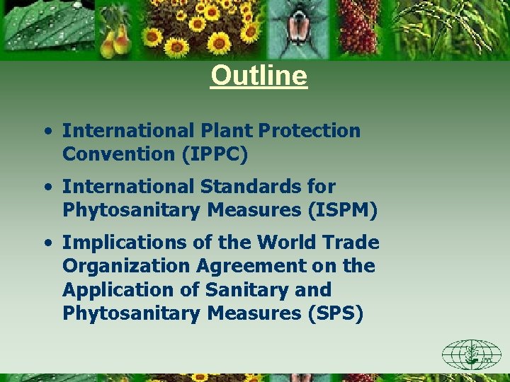 Outline • International Plant Protection Convention (IPPC) • International Standards for Phytosanitary Measures (ISPM)