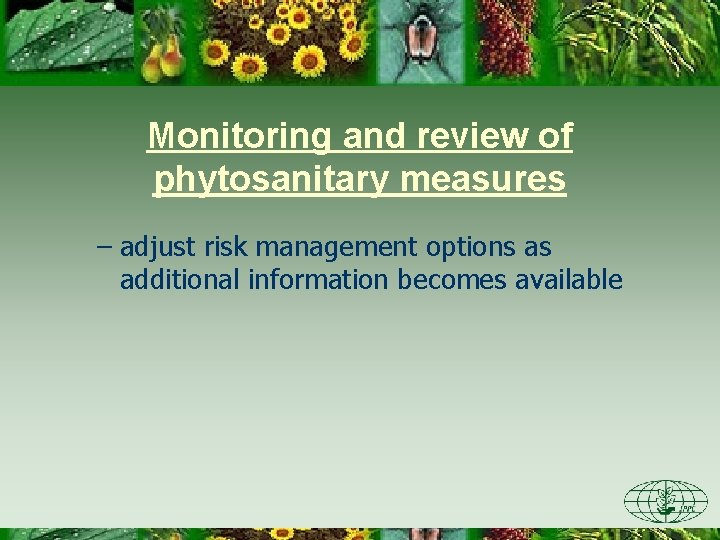 Monitoring and review of phytosanitary measures – adjust risk management options as additional information