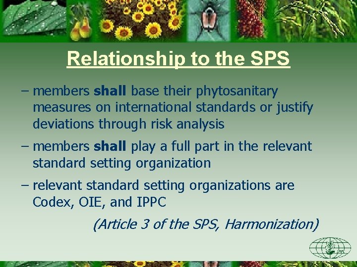 Relationship to the SPS – members shall base their phytosanitary measures on international standards