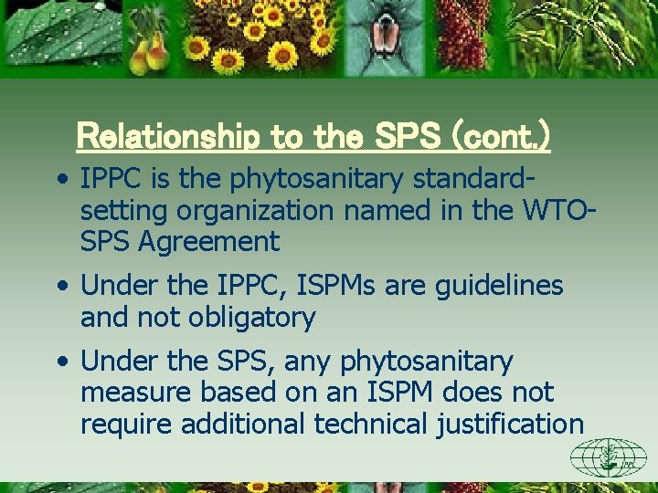 Relationship to the SPS (cont. ) • IPPC is the phytosanitary standardsetting organization named