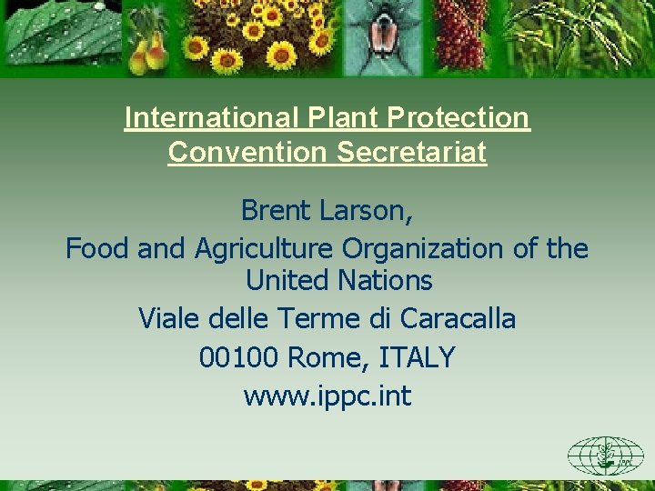 International Plant Protection Convention Secretariat Brent Larson, Food and Agriculture Organization of the United
