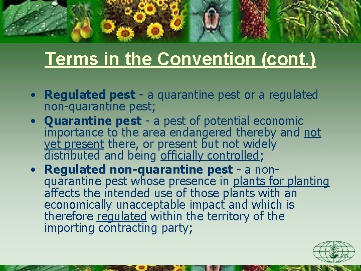 Terms in the Convention (cont. ) • Regulated pest - a quarantine pest or