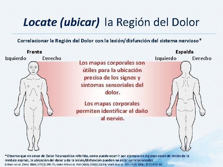 Locate (ubicar) la Región del Dolor Correlacionar la Región del Dolor con la lesión/disfunción