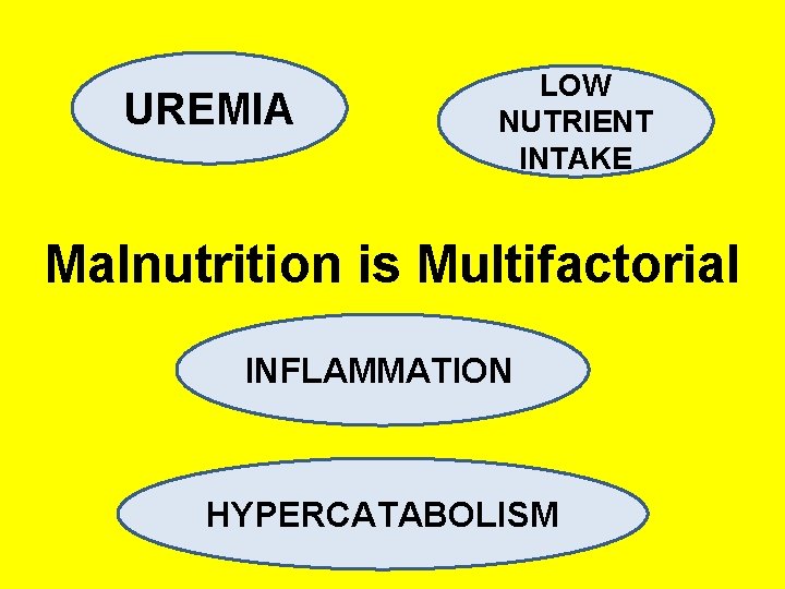 UREMIA LOW NUTRIENT INTAKE Malnutrition is Multifactorial INFLAMMATION HYPERCATABOLISM 